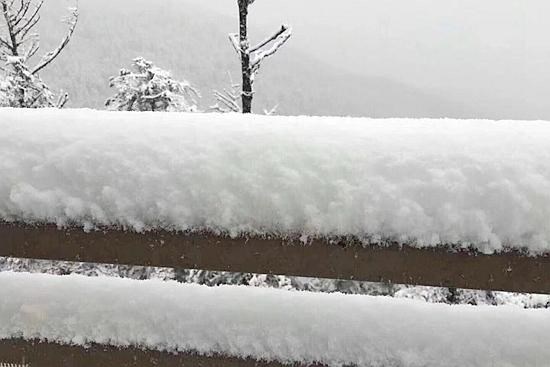 成都迎今年第一場雪 西嶺雪山日月坪銀裝素裹