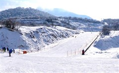 太子嶺滑雪場